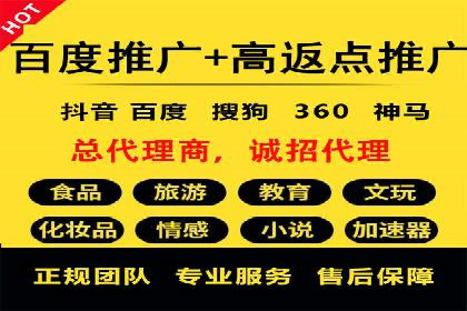 百度推广竞价全解析：某电商平台的营销策略